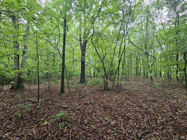 2411 SR 56, Tracy City, TN 37387