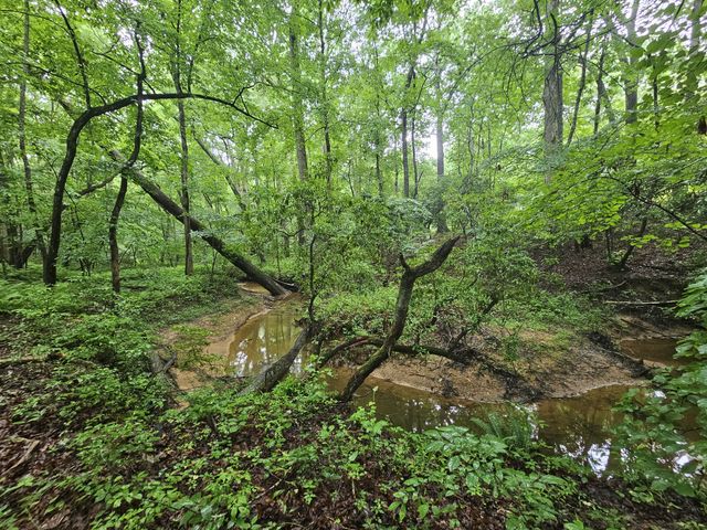 2411 SR 56, Tracy City, TN 37387