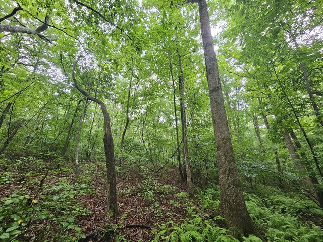 2411 SR 56, Tracy City, TN 37387