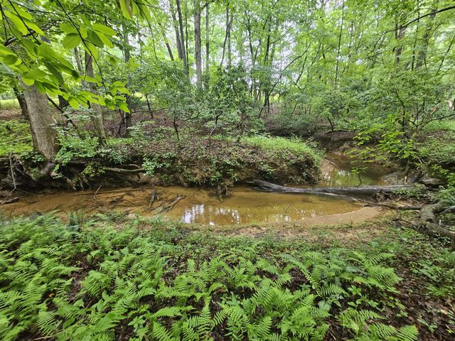 2411 SR 56, Tracy City, TN 37387