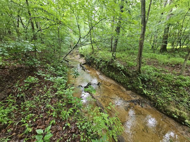 2411 SR 56, Tracy City, TN 37387