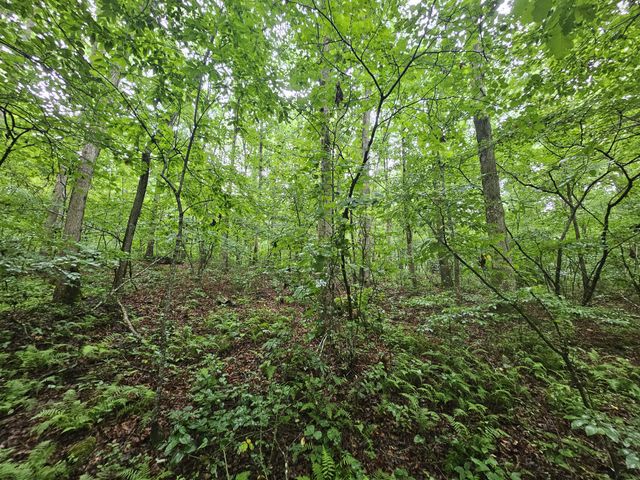 2411 SR 56, Tracy City, TN 37387