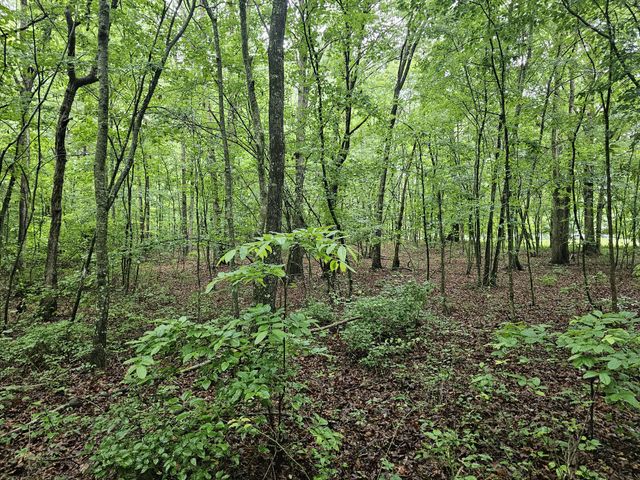 2411 SR 56, Tracy City, TN 37387