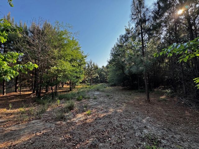 247 S Dixie Road, Wagener, SC 29164