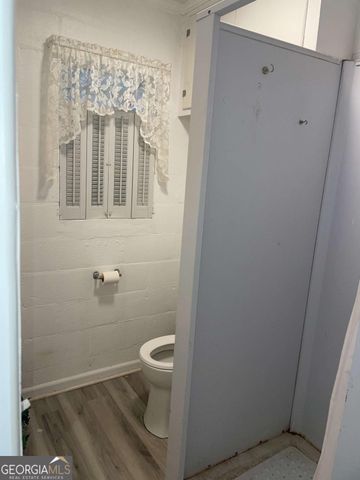 129 E Brumby Street, Reidsville, GA 30453