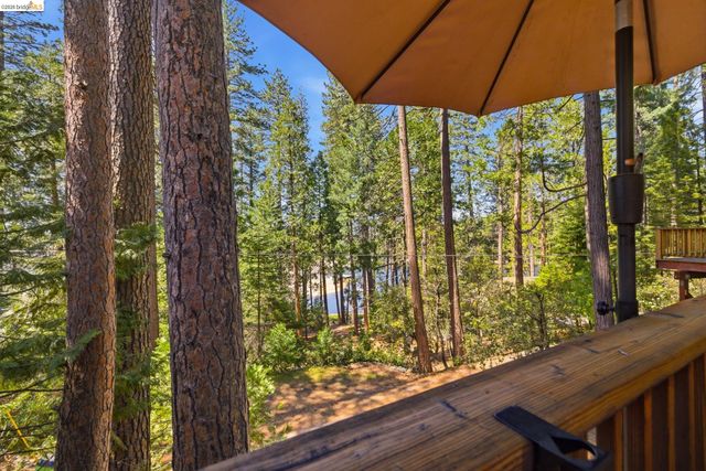 22334 Twain Harte Drive, Twain Harte, CA 95383