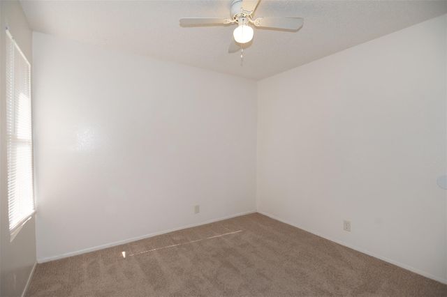 1114 Woodlief TRL, Round Rock, TX 78664