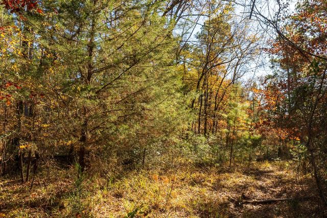 23684 Fm 227 E, Kennard, TX 75847