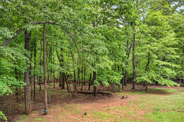 160 Acadia Drive, Ellijay, GA 30540