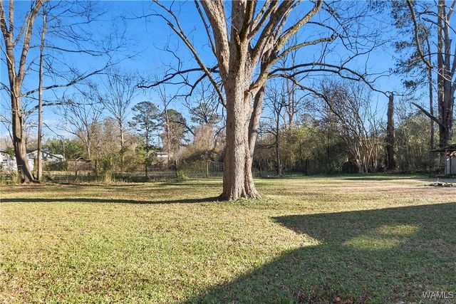 407 1st N, Reform, AL 35481