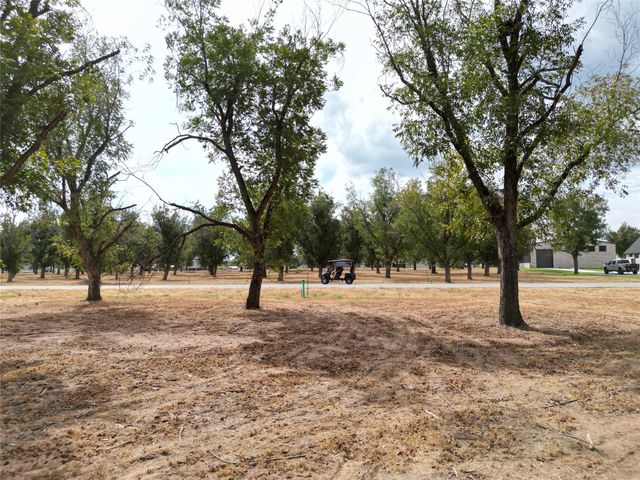 930 E Landings Drive, Granbury, TX 76049