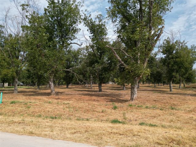 930 E Landings Drive, Granbury, TX 76049