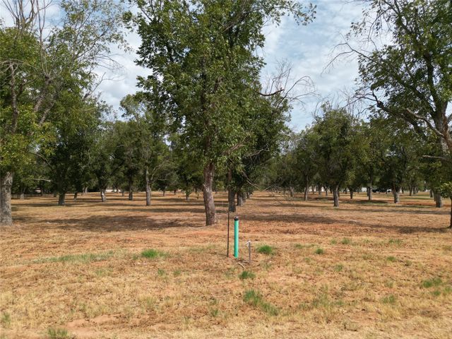 930 E Landings Drive, Granbury, TX 76049