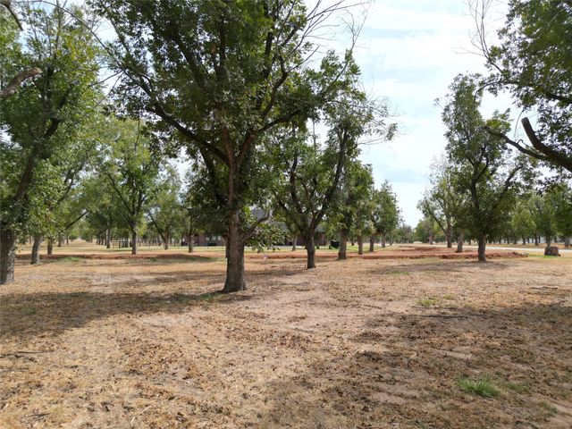 930 E Landings Drive, Granbury, TX 76049
