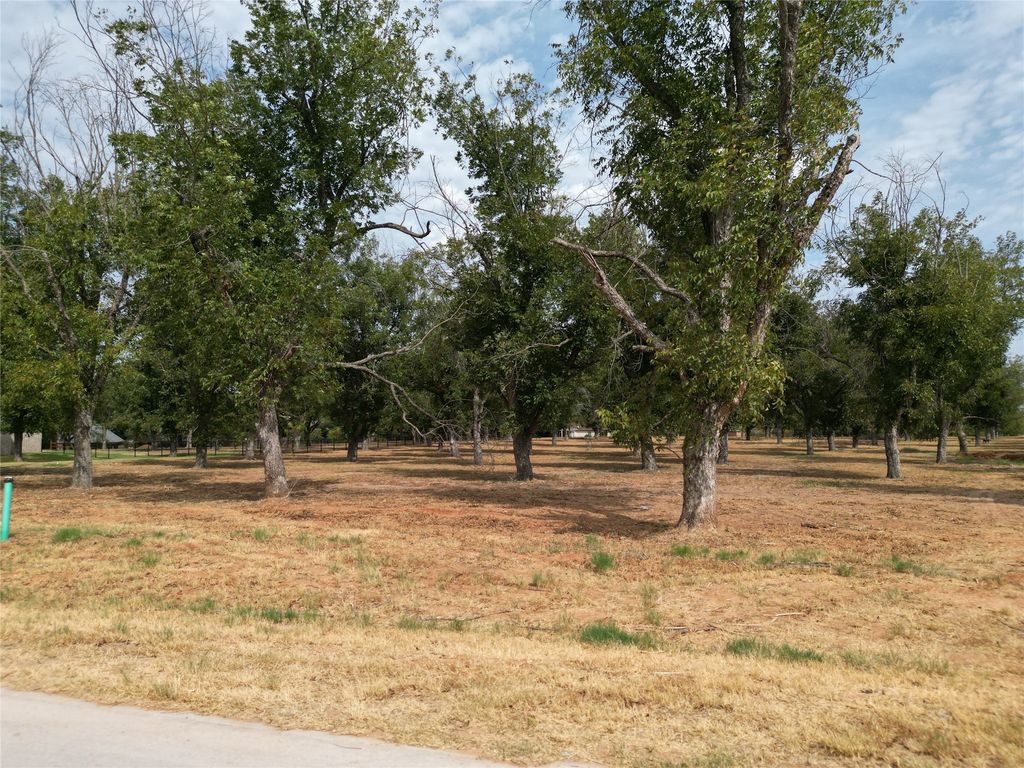 930 E Landings Drive, Granbury, TX 76049 — photo 5