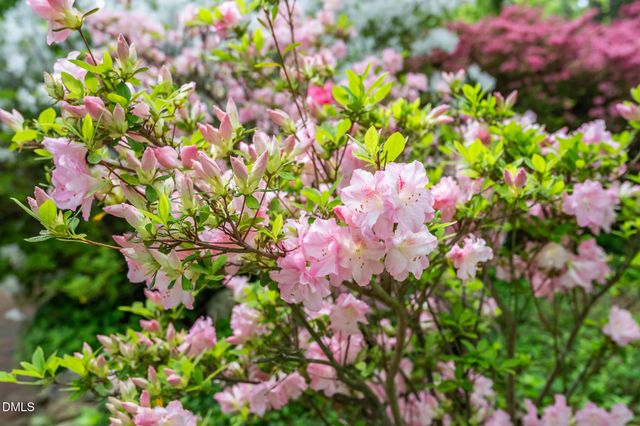 107 Pine Lane, Chapel Hill, NC 27514