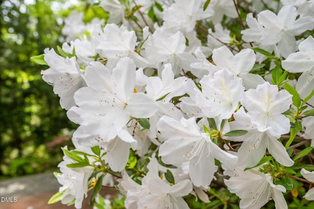 107 Pine Lane, Chapel Hill, NC 27514