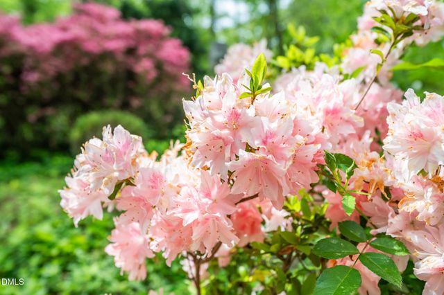 107 Pine Lane, Chapel Hill, NC 27514