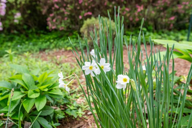 107 Pine Lane, Chapel Hill, NC 27514