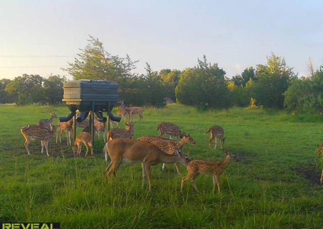 6116 E State Highway 71, La Grange, TX 78945