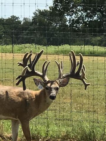 6116 E State Highway 71, La Grange, TX 78945