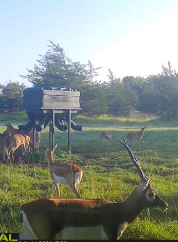 6116 E State Highway 71, La Grange, TX 78945