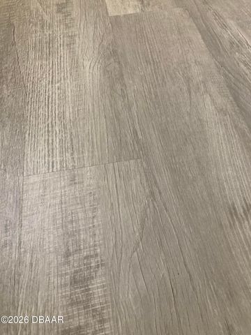 1704 Long Branch Place, Port Orange, FL 32129