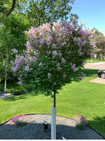 5213 Woodhill Road, Minnetonka, MN 55345