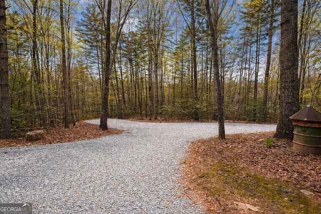 396 Dover Falls Trail, Ellijay, GA 30540