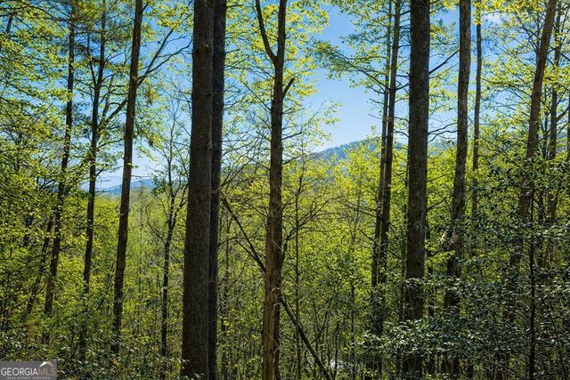 396 Dover Falls Trail, Ellijay, GA 30540