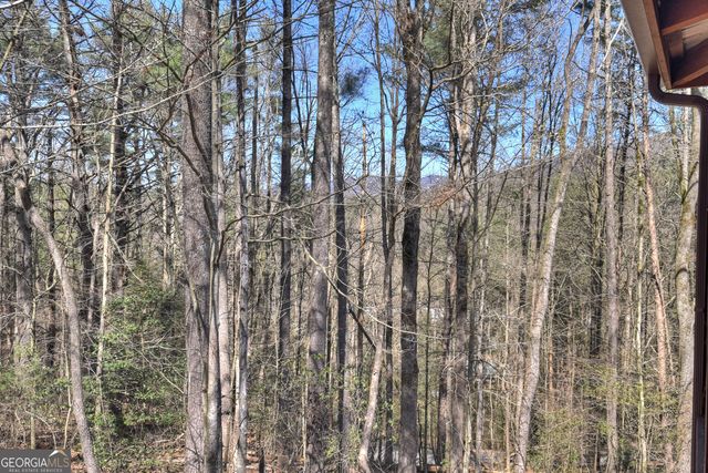 396 Dover Falls Trail, Ellijay, GA 30540