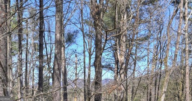 396 Dover Falls Trail, Ellijay, GA 30540