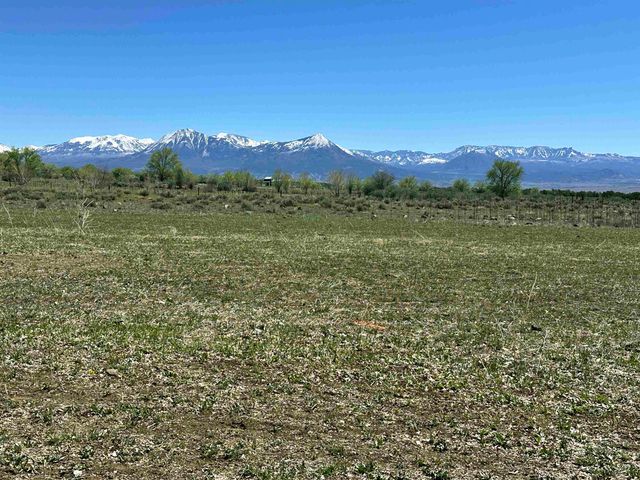 12880 2900 Road, Hotchkiss, CO 81419