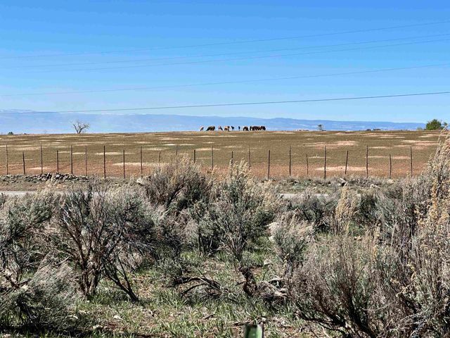 12880 2900 Road, Hotchkiss, CO 81419