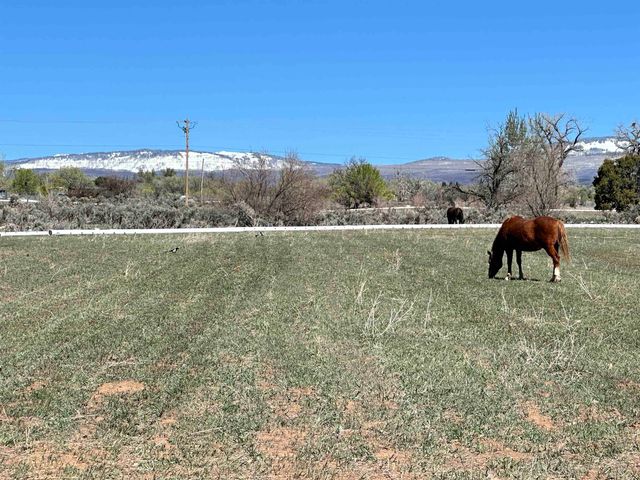 12880 2900 Road, Hotchkiss, CO 81419
