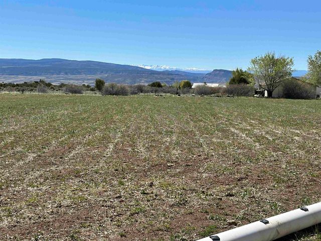 12880 2900 Road, Hotchkiss, CO 81419