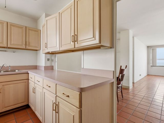 5530 S Shore Drive 17A, Chicago, IL 60637