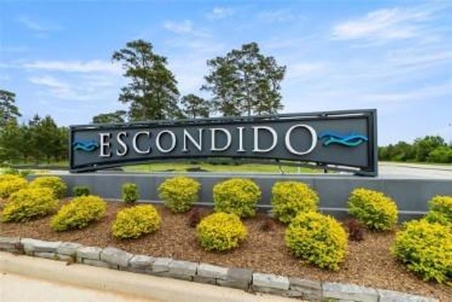 42516 Edmund Rucker Lane, Magnolia, TX 77354