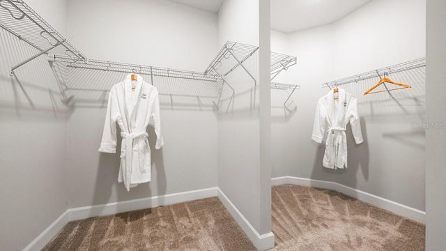 3943 IMMACOLATA WAY, Wesley Chapel, FL 33543