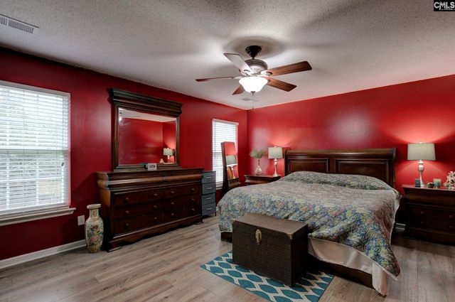 188 Kerry Gibbons Drive, Chapin, SC 29036