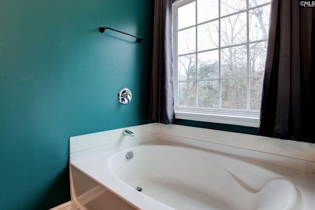 188 Kerry Gibbons Drive, Chapin, SC 29036