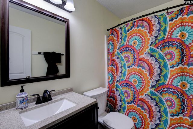 188 Kerry Gibbons Drive, Chapin, SC 29036