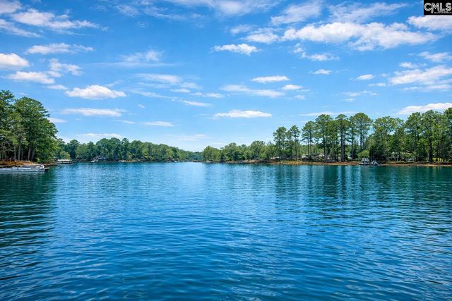 188 Kerry Gibbons Drive, Chapin, SC 29036