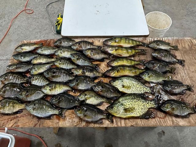 75500 JOE REIN ROAD, Glidden, WI 54527