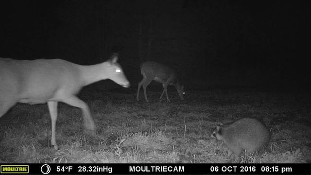 75500 JOE REIN ROAD, Glidden, WI 54527