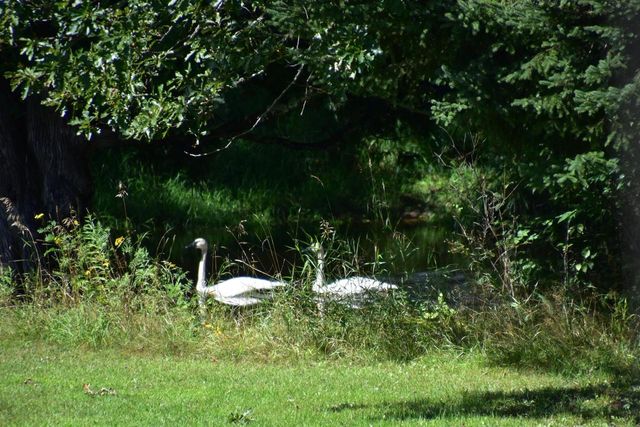 75500 JOE REIN ROAD, Glidden, WI 54527