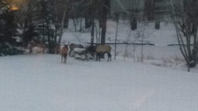 75500 JOE REIN ROAD, Glidden, WI 54527