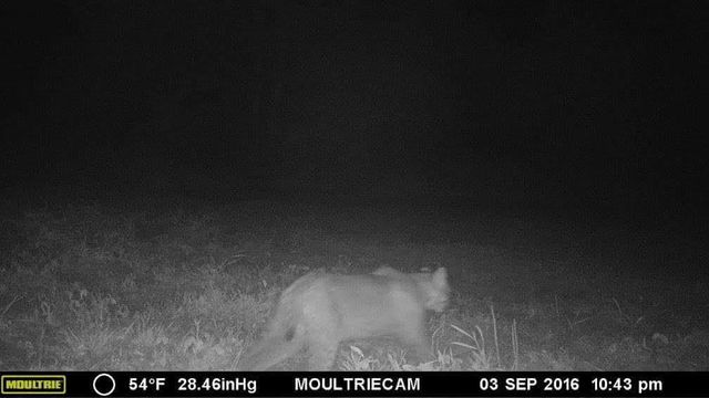 75500 JOE REIN ROAD, Glidden, WI 54527