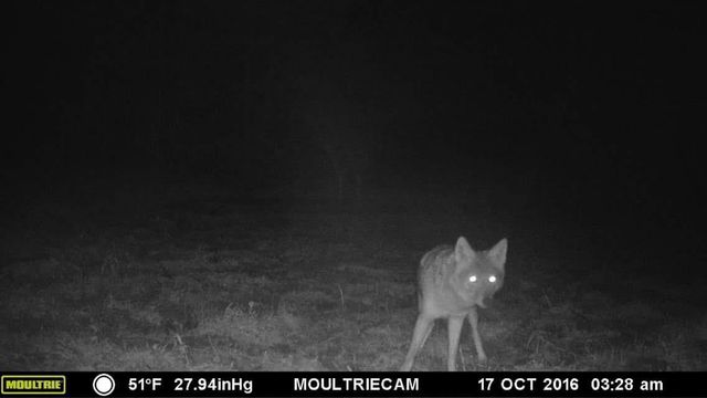 75500 JOE REIN ROAD, Glidden, WI 54527