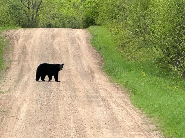 75500 JOE REIN ROAD, Glidden, WI 54527